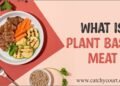 Everything About Plant-Based Meat Explained (Detailed) 5 Everything About Plant-Based Meat Explained (Detailed)