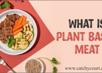 Everything About Plant-Based Meat Explained (Detailed)